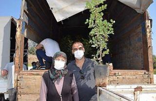 Kıraç araziler için çiftçilere keçi boynuzu...