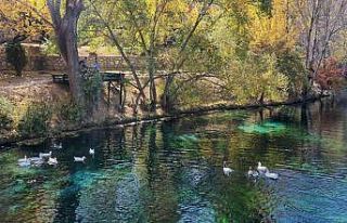 Kıraç toprakların turkuaz gerdanlığı renk cümbüşüne...