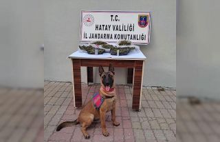 Kırıkhan’da uyuşturucu operasyonuna 1 tutuklama