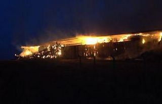 Kırklareli’nde çiftlik yangını: Çok sayıda...