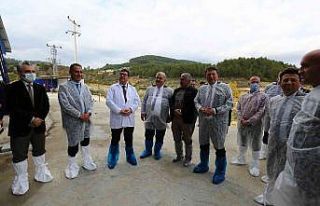 Kırsal kalkınmadan destek alan hayvancılık işletmesinde...