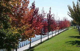 Kırşehir’de rengarenk sonbahar