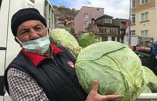 Kış mevsiminin gözdesi Bayburt lahanası tezgâhlarda...