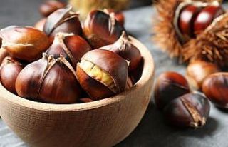 Kışın vazgeçilmezi kestane kansere karşı koruyor