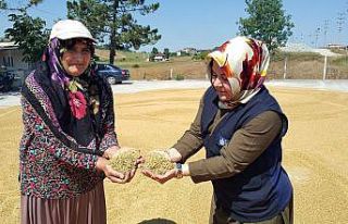 Kocaeli Büyükşehir Belediyesi’nden gübre ve...