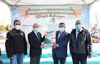 Kocasinan Belediyesi, çiftçilere ata tohumu gacer...