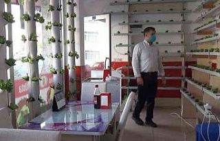 Köfte dükkanında marul yetiştiriyor, müşteriler...