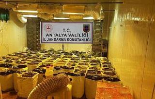 Konteyneri uyuşturucu serasına dönüştürmüşler