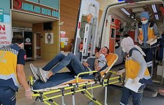 Kontrolden çıkan kamyonet bahçeye daldı