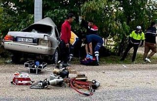 Kontrolden çıkan otomobil elektrik direğine çaptı:...