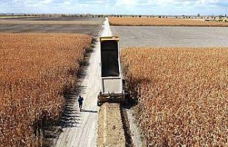 Konya’da toplulaştırma çalışmaları devam ediyor