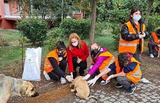 Körfez’li çocuklar sokak hayvanlarını besledi