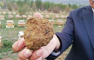 Korona virüs sonrası talep arttı, litresi 2 bin...