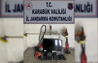 Köylerde hırsızlık yapan 2 kişi yakalandı