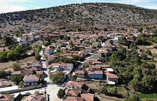 Köylülerden ilginç böbrek taşı dökme yöntemi