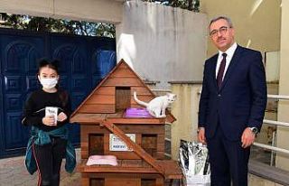 Küçük Eylül kedi evine kavuştu