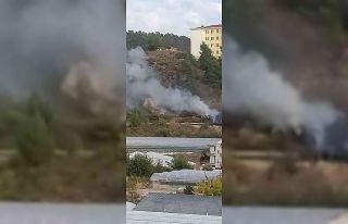 Kumluca’da çıkan yangın büyümeden söndürüldü