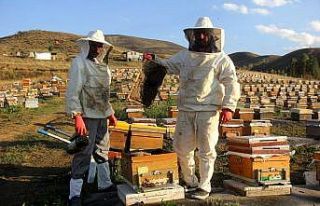 Kuraklık bu sene balın tadını kaçırdı