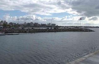 Kurbağalıdere’de su samuru çıktı, vatandaş...