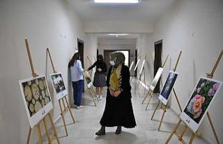 -Kursiyerler fotoğraflarını sergiledi