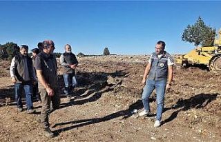 Kütahya’da ormanların gençleştirilmesi çalışmaları