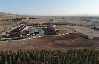 Mahmudiyeli atçılar idman merkezinin aktif hale...