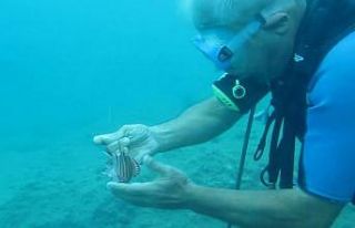 Mahsur kalan naylon balığına su altında profesör...
