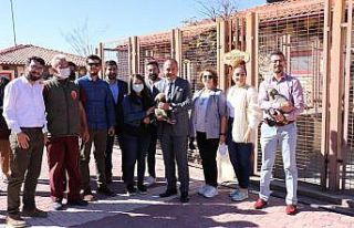 Malatya’ya tam teşekküllü hayvan hastanesi