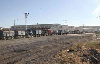 Malazgirt’te kilometrelerce pancar kuyruğu oluştu