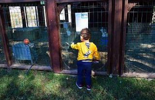 Manavgat’ın Anka Kuşları projesinde çocuklar...