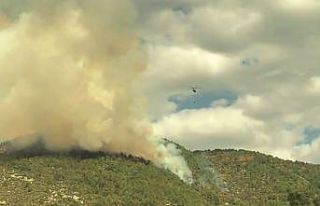 Manavgat’ta 6 hektar ormanlık alan yandı