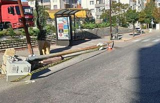 Manevra yapan tır çarptığı direği devirdi