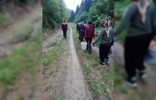 Mantar toplarken kaybolan 6 kişi bulundu