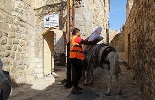 Mardin eşekleri restorasyon çalışmalarında da...