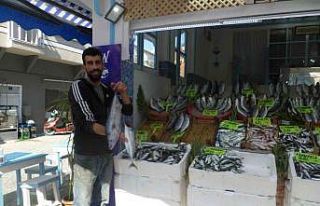 Marmara’da sıcaklık düşünce balık fiyatları...