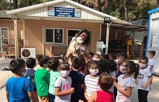 Marmaris’te hayvan barınağı öğrencilerin akınına...
