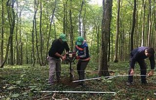 Mecidiye’de Uzun Hasan türbesi ve mesire alanı...