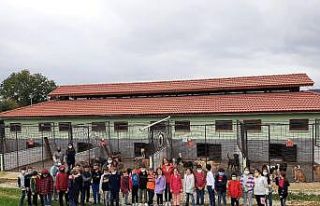 Mehmet Akif Ersoy İlkokulu öğrencileri can dostlarını...