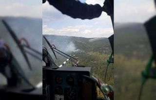 Menteşe’de ormana düşen yıldırım yangına...