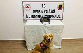 Mersin’de 1 kilo 173 gram esrar ele geçirildi