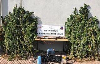Mersin’de uyuşturucu operasyonu; 2 gözaltı