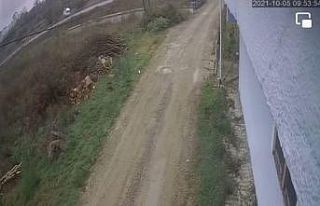 Meşrubat yüklü kamyonetin devrildi