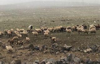 Metroloji günler önce uyarmıştı
