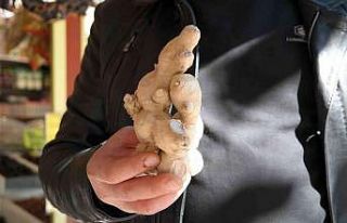 Mevsim geçişlerinin vazgeçilmez ürünü: Zencefil