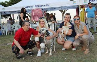 Mezitli’de Pati Fest Festivali