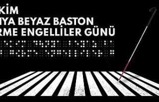 Milli Eğitim Bakanlığınca görme yetersizliği...