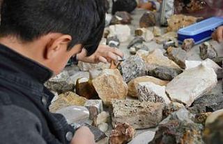 Mineraller, kayaçlar, ve fosillerin gizemi