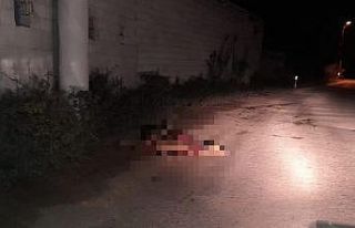 Minibüs sürüye daldı: 10 hamile koyun telef oldu