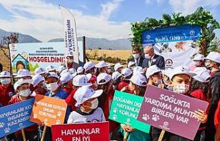 Minik kalpler için 67 okula kulübe ve can dostları...