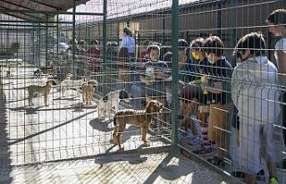 Minik öğrenciler hayvan bakımevini ziyaret etti